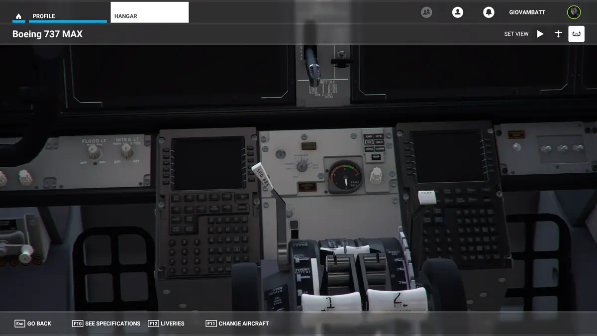 Boeing 737 MAX MSFS Flight Simulator 2020 6