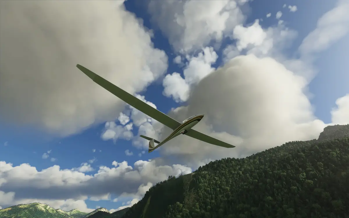 Discus glider flight simulator 2020 msfs 3