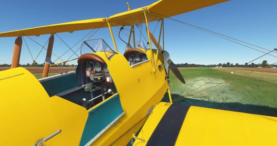 Ants Airplanes Tiger Moth MSFS 1