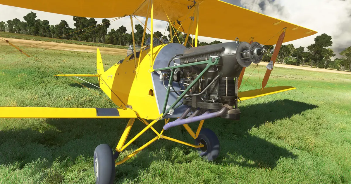 Ants Airplanes Tiger Moth MSFS 2