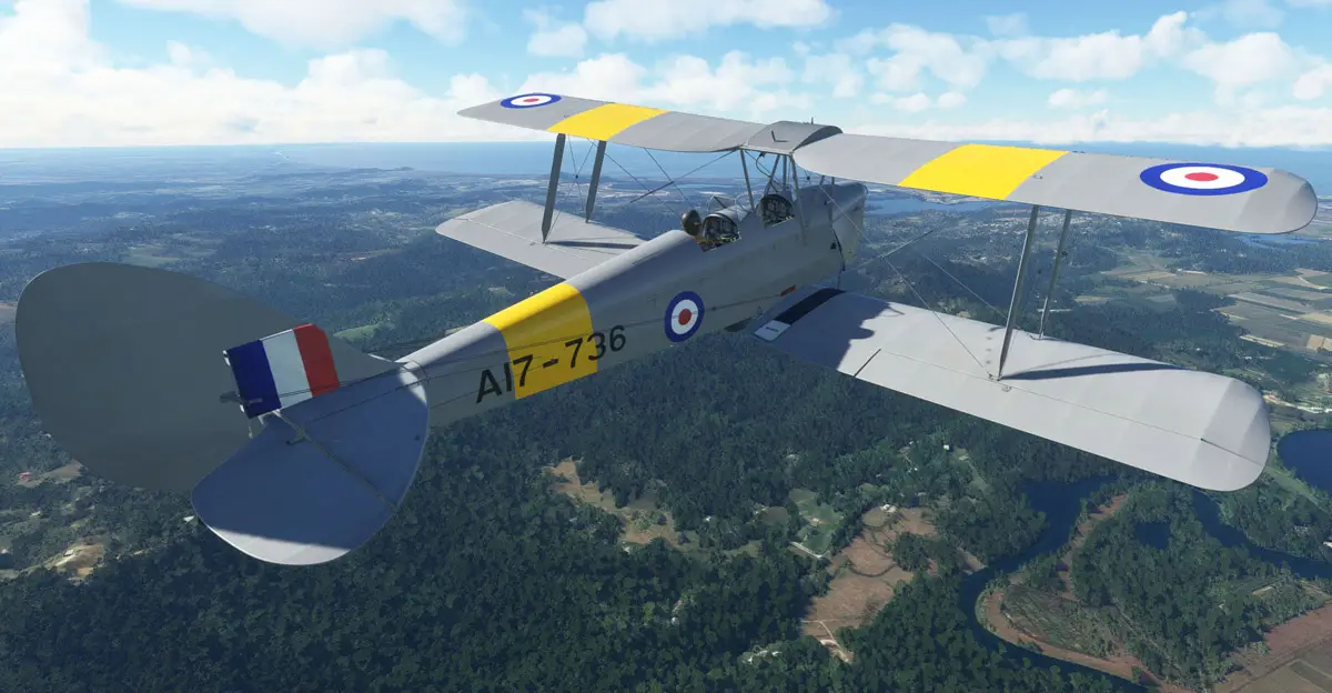 Ants Airplanes Tiger Moth MSFS 4