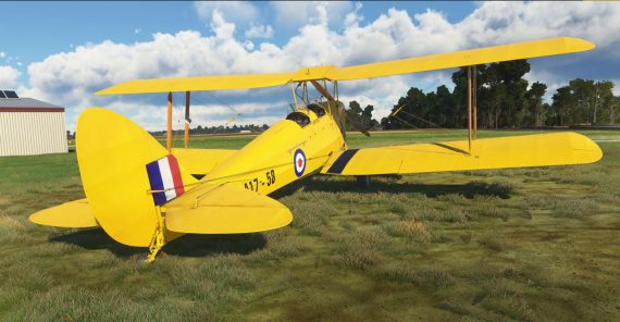 Ants Airplanes Tiger Moth MSFS 5