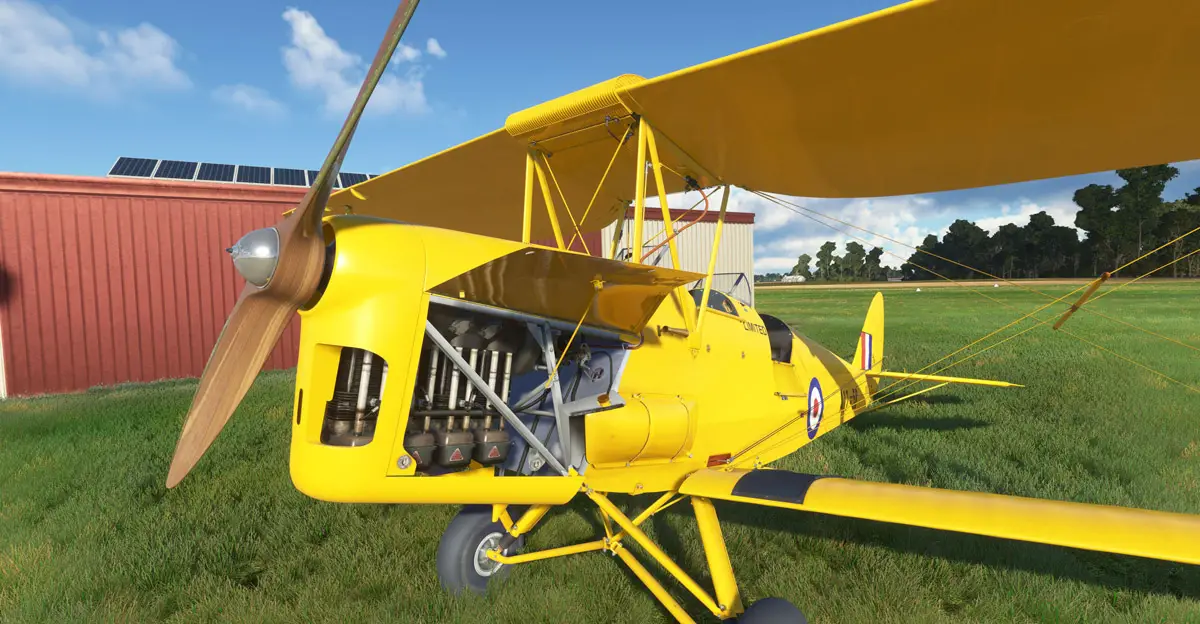 Ants Airplanes Tiger Moth MSFS 6