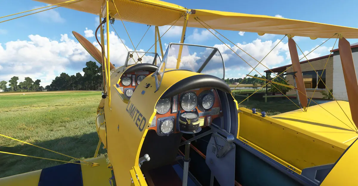 Ants Airplanes Tiger Moth MSFS 7