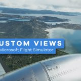 custom views microsoft flight simulator