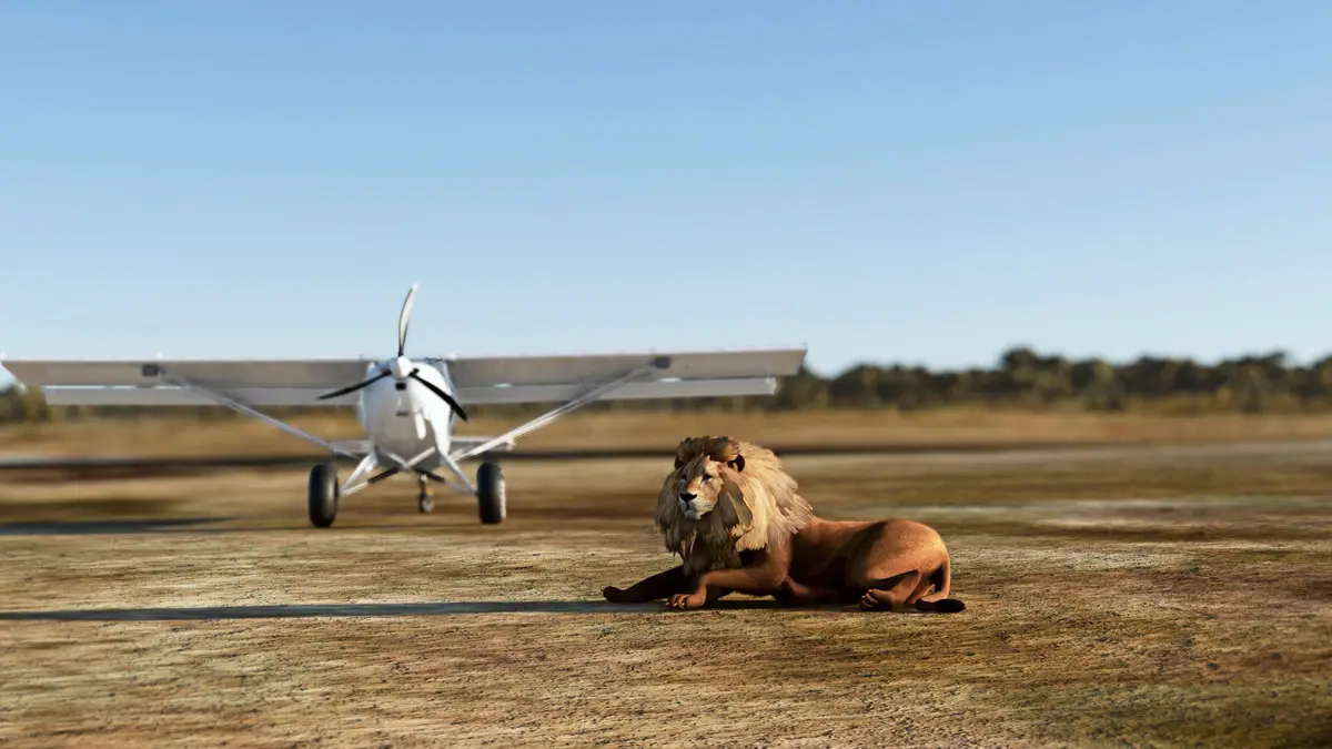 SoFly announces Animals for Microsoft Flight Simulator