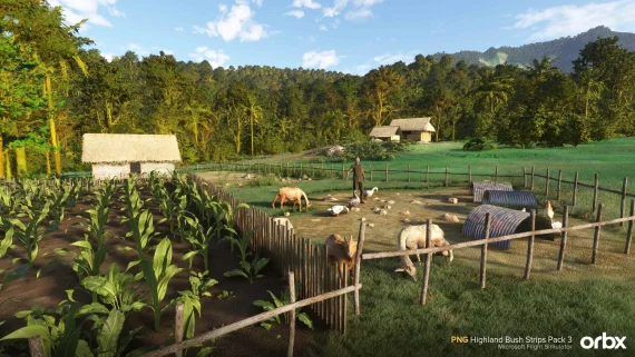 Orbx Papua New Guinea Pack 3 MSFS 8